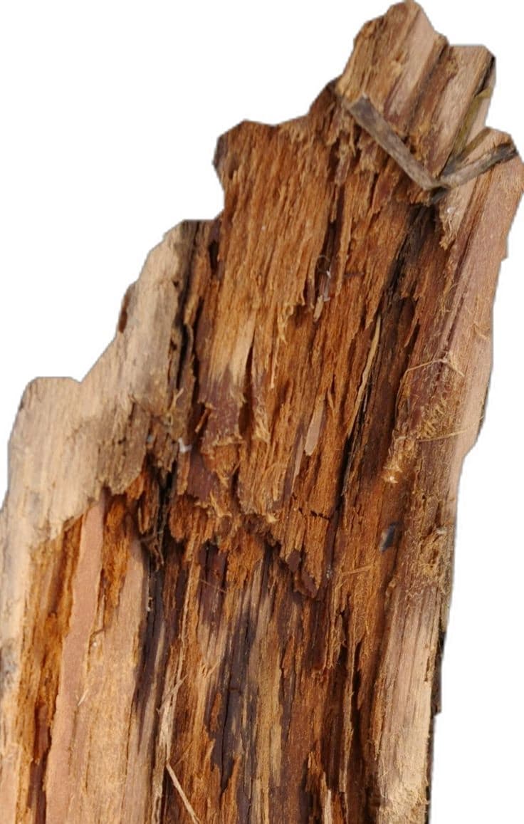 Amberwood