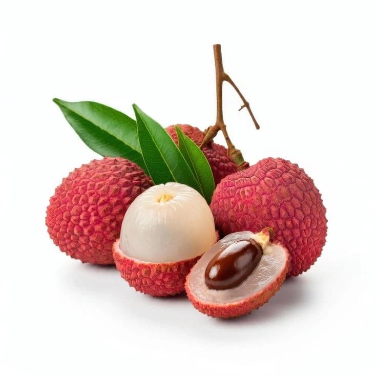 Litchi