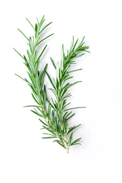 Rosemary