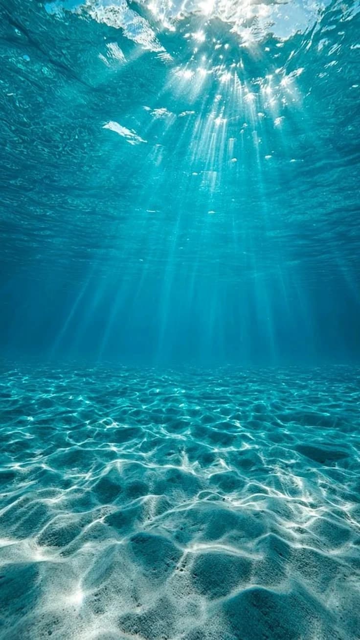 Sea Notes