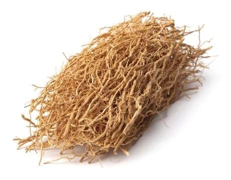 Vetiver